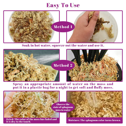 Legigo orchid moss layering provides moisture around orchid roots for better germination.