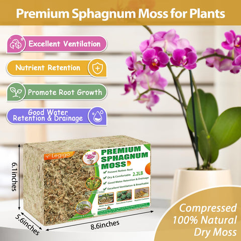 Legigo orchid moss retains moisture around orchid roots for healthy growth.