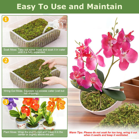 Legigo orchid moss in repotting setup improves root aeration