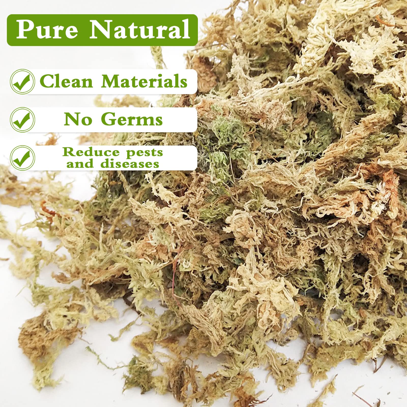 Legigo orchid moss layering – moss on top for rooting and moisture control.