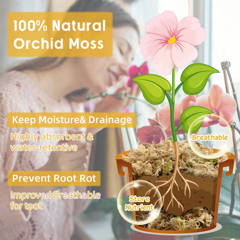 Legigo orchid moss around roots highlighting water retention for orchids