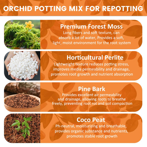 Legigo orchid mix pine bark and perlite enhance drainage and aeration