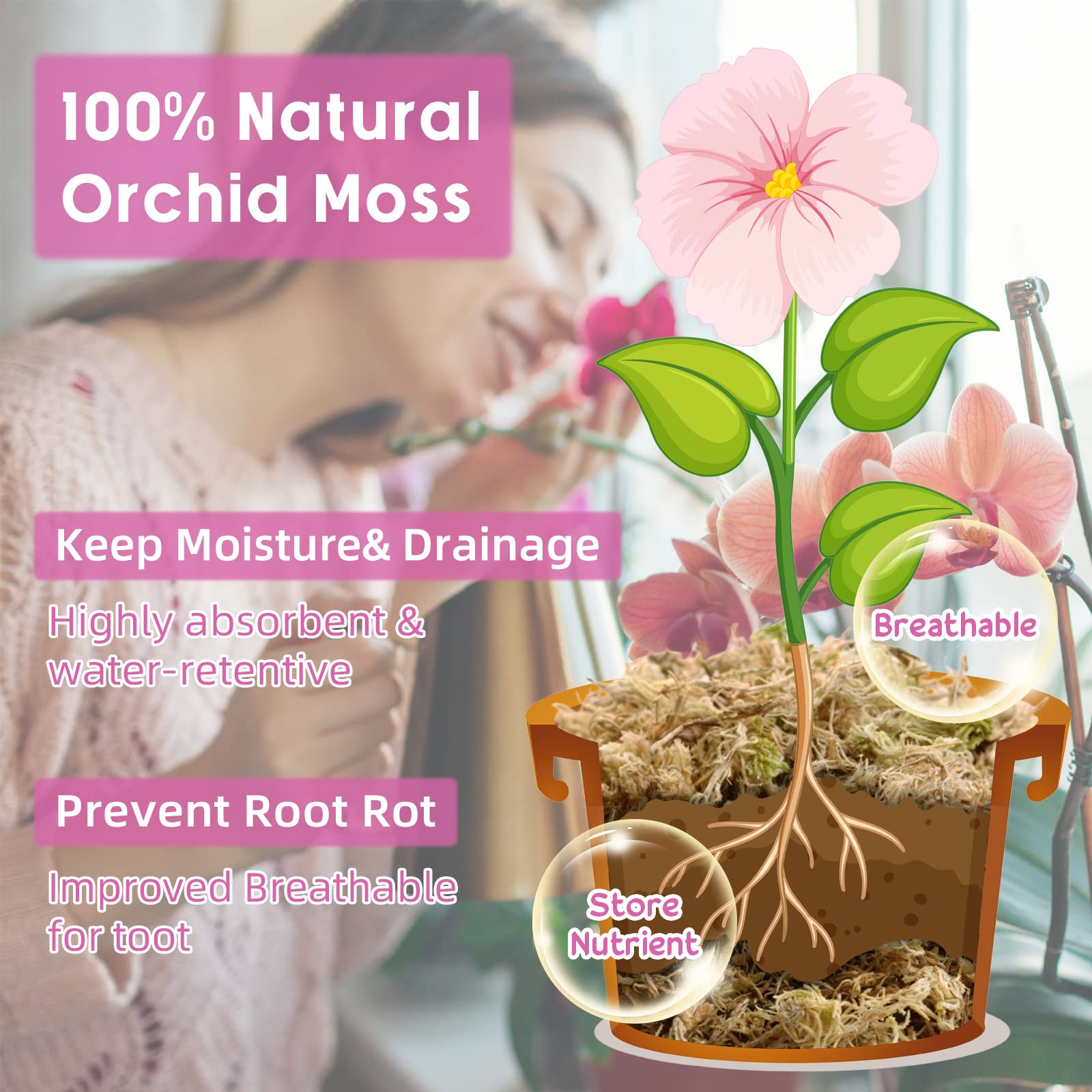 Legigo orchid moss supports healthy rooting and moisture