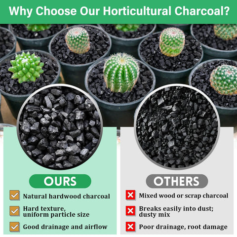 Legigo orchid terrarium bottom layer charcoal balances drainage and moisture.