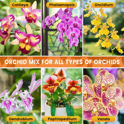 Legigo mix supports Phalaenopsis, Cattleya, Vanda, and more varieties