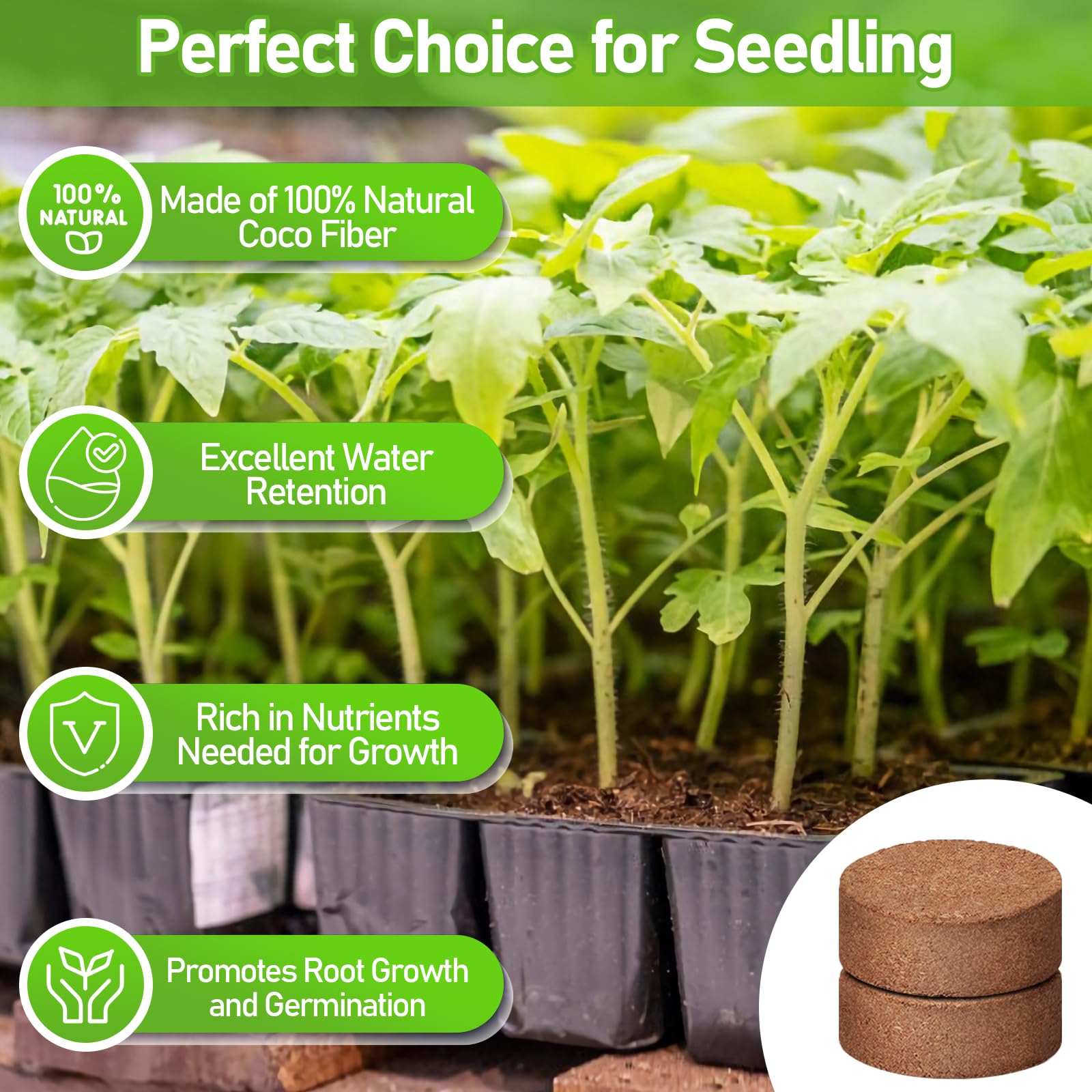 Legigo organic coconut coir pellets, premium growing medium for clean plant care.