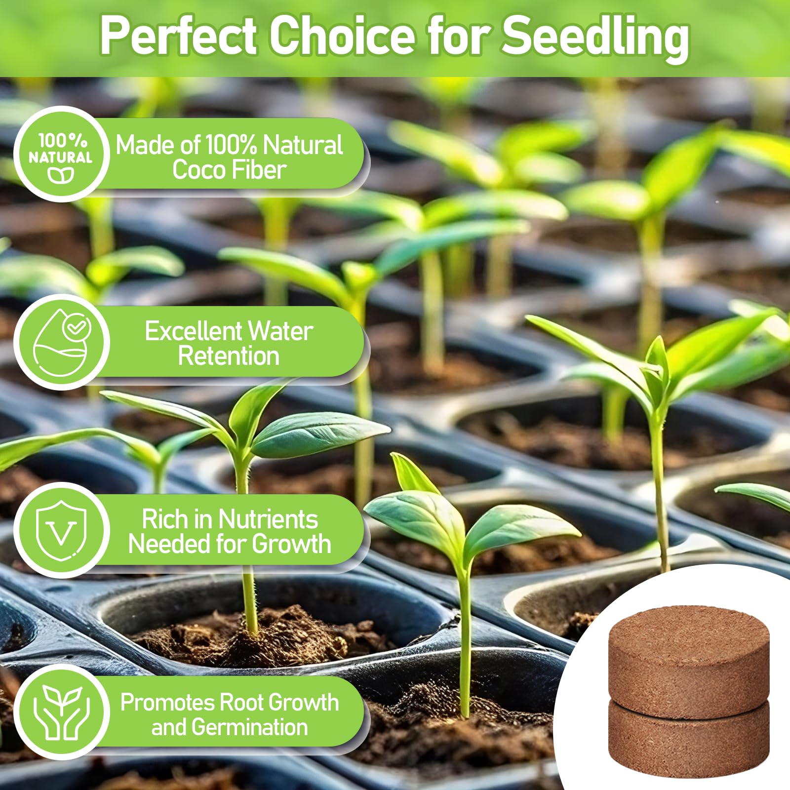 Legigo organic coconut coir pellets provide a natural growing medium.