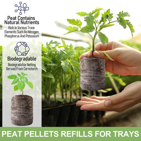 Legigo peat pellet texture close-up highlights compact form and clean handling.