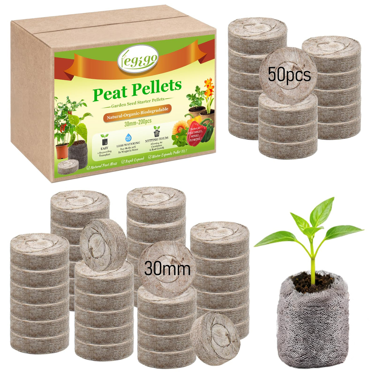 Legigo peat pellets expanding to seedling pots for easy planting.