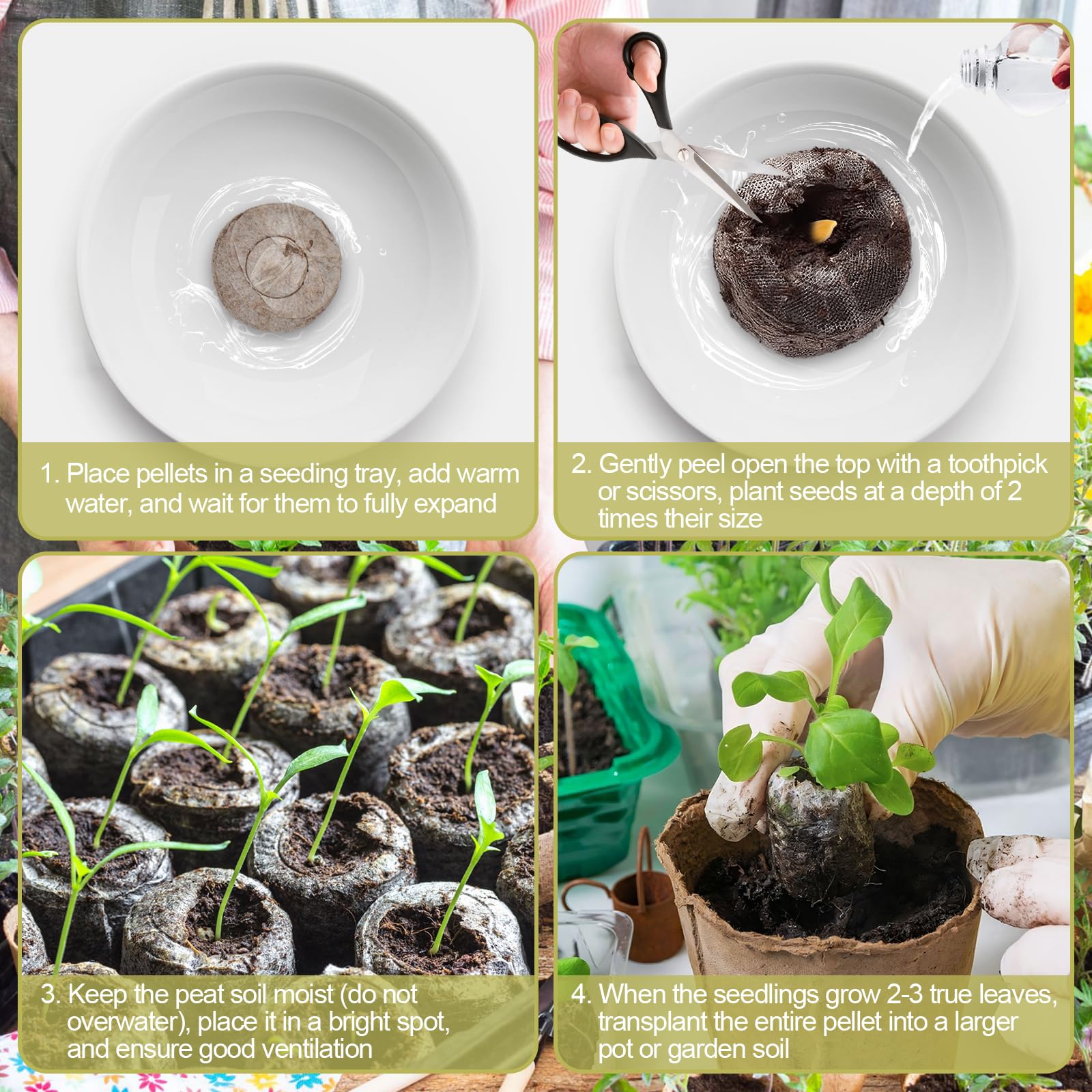 Legigo peat pellets provide aeration and moisture retention for seedlings