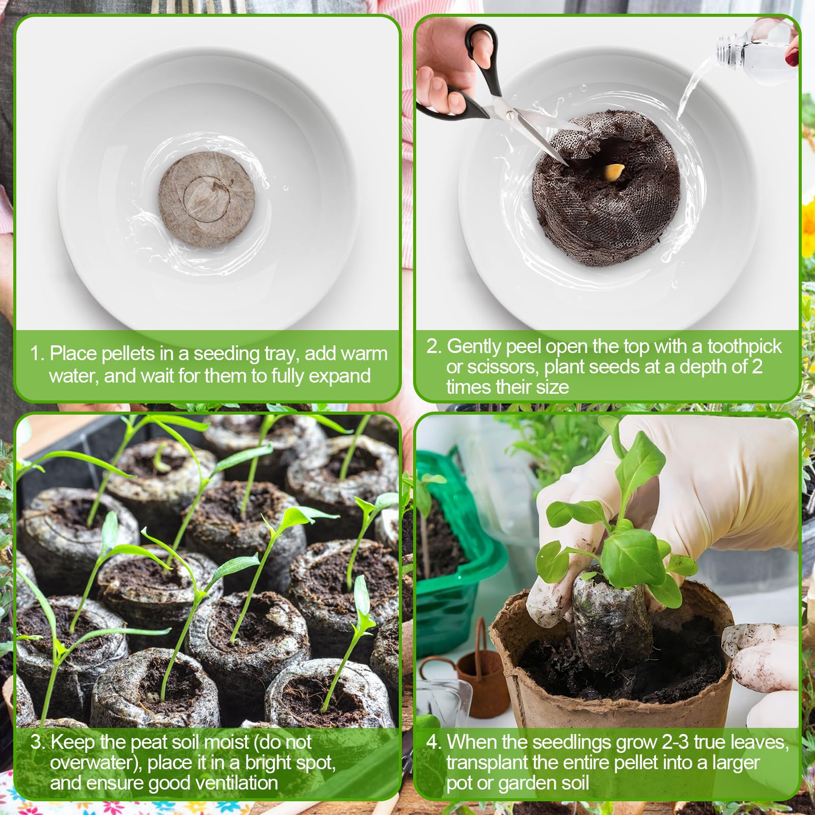 Legigo 30mm pellets fit standard nursery trays for efficient germination.