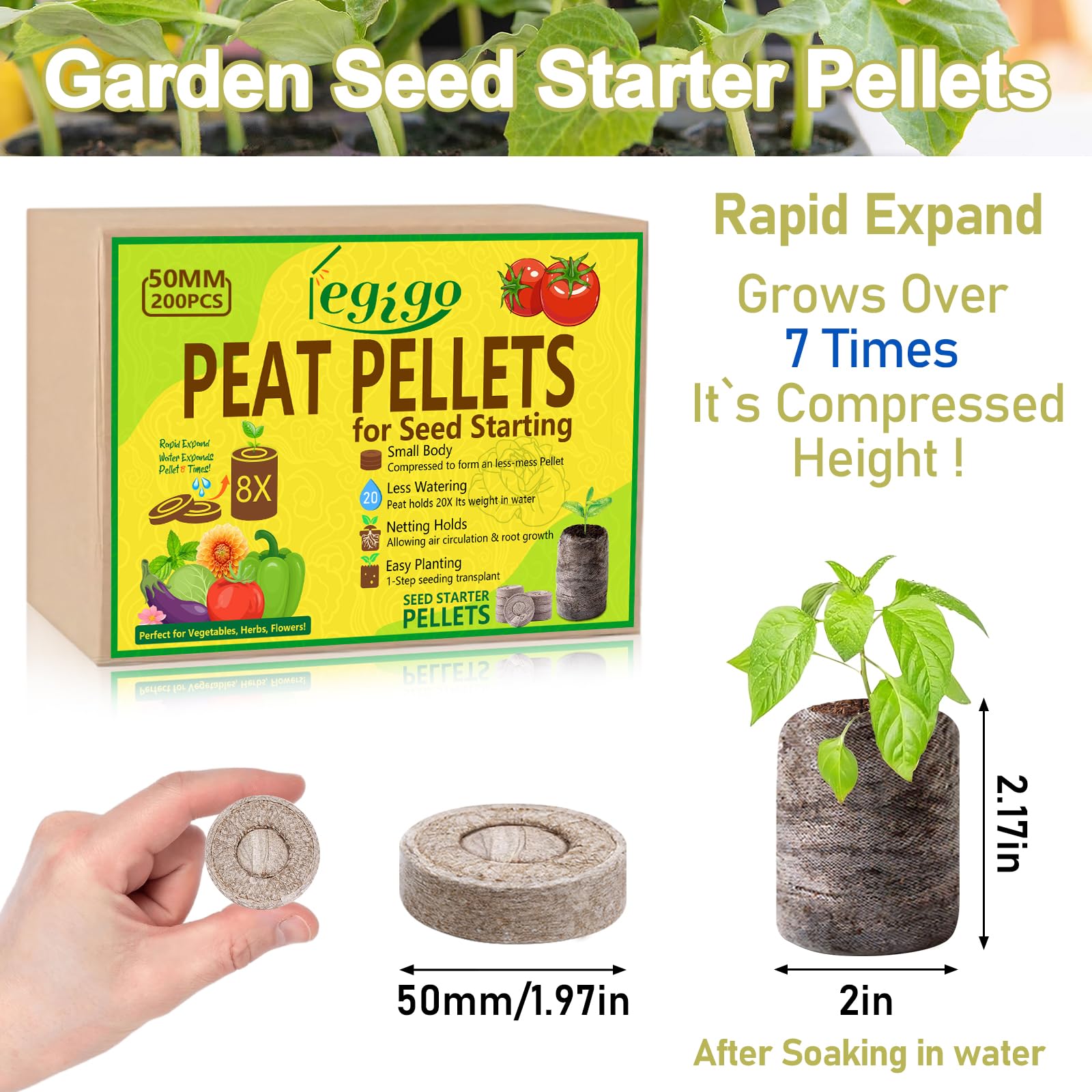 Legigo peat pellets expanding in warm water ready for germination