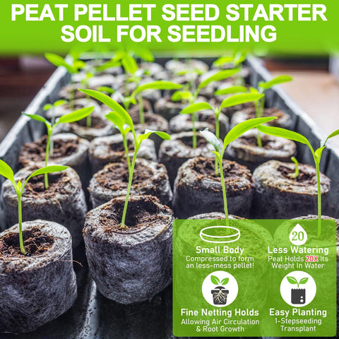 Legigo peat pellets promote aeration and water retention for healthy seedlings