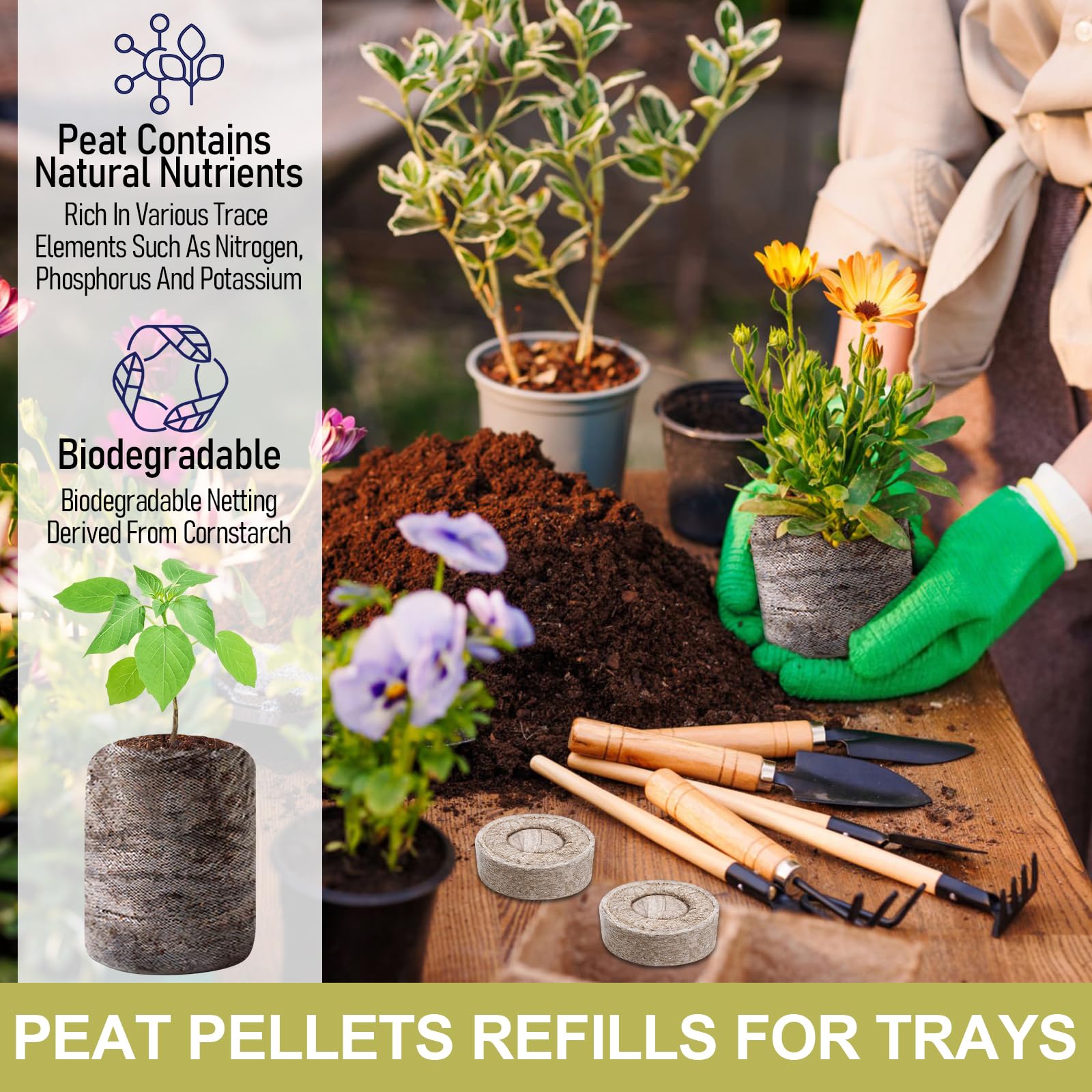 Legigo pellets placed on a 1020 tray for efficient seedling setup