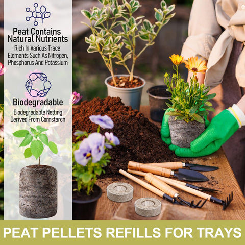 Legigo pellets placed on a 1020 tray for efficient seedling setup