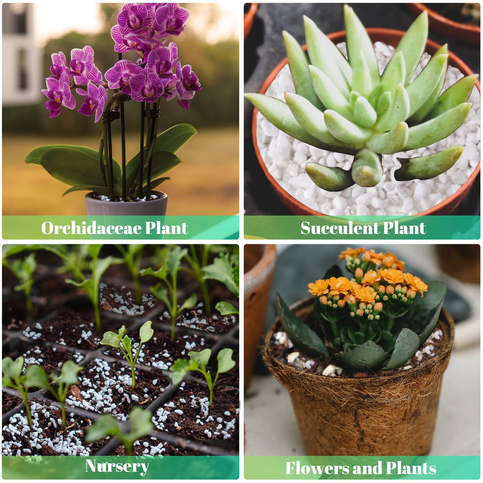 Legigo decorative-garden-stone-diy perlite used as decorative mulch or micro-landscape filler.