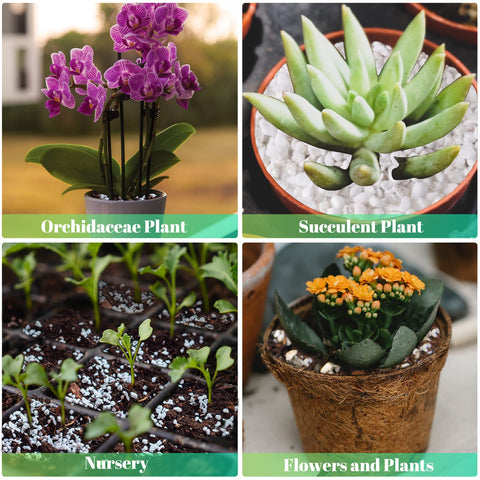 Legigo decorative-garden-stone-diy perlite used as decorative mulch or micro-landscape filler.