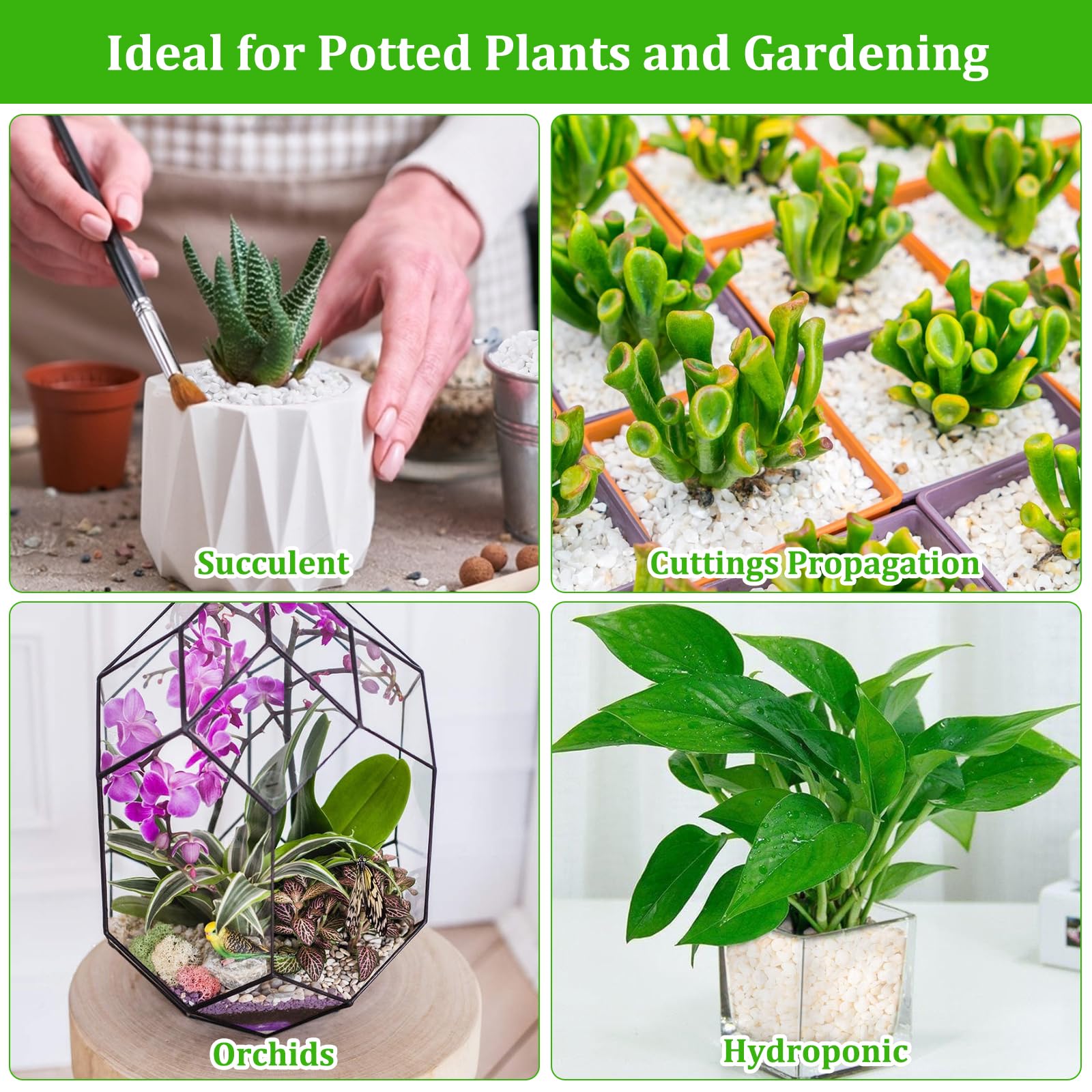 Legigo perlite decorative stones for DIY micro landscapes