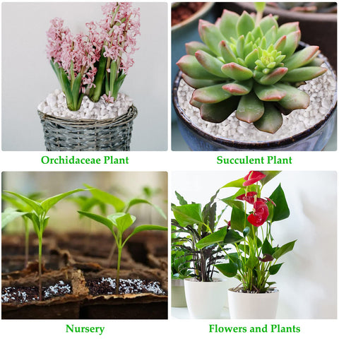 Legigo perlite decorative stones for DIY arrangements and micro landscapes