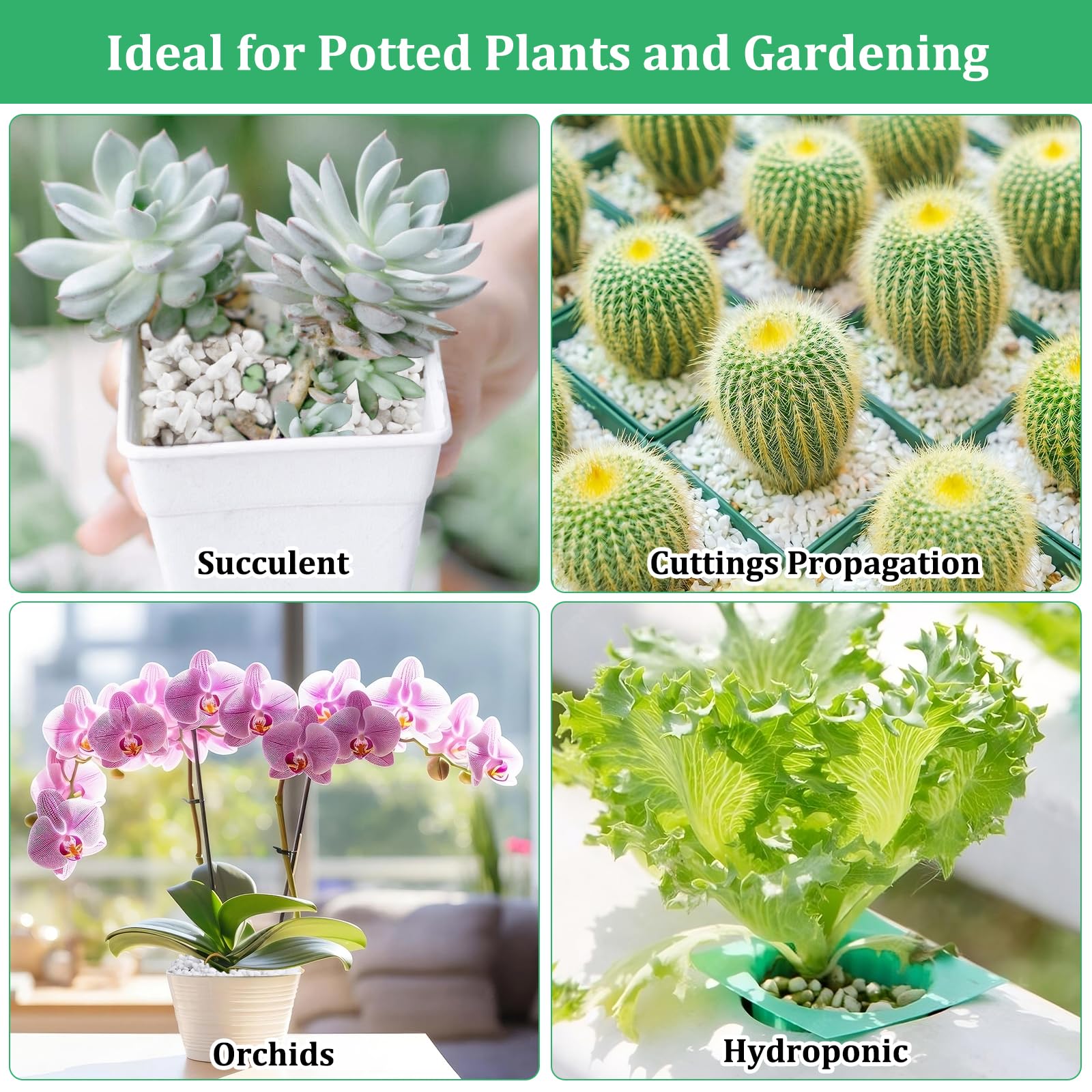 Legigo perlite decorative stones and DIY micro-landscape accents