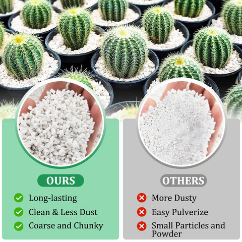 Legigo perlite enhances drainage and aeration for healthy root growth in pots