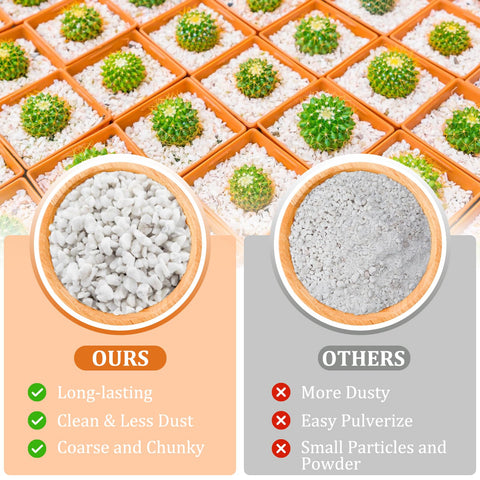 Legigo perlite mixed with potting soil for better aeration.