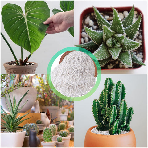Legigo resealable-pouch-storage for convenient, dry storage of perlite.