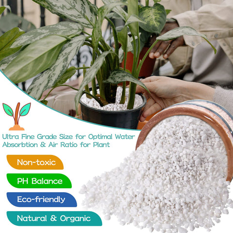 Legigo perlite improves soil aeration for indoor plant root growth.