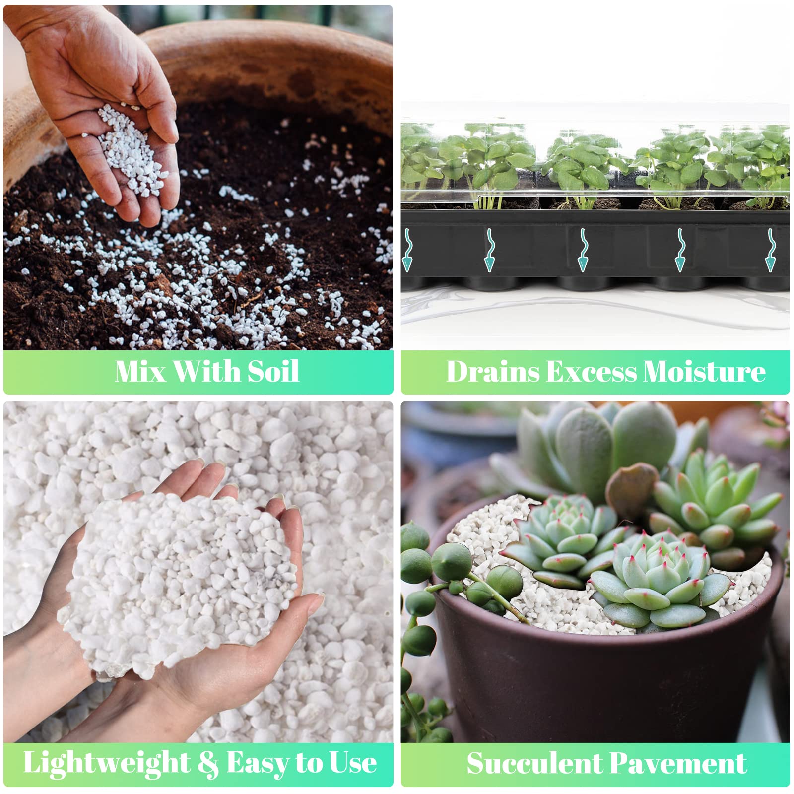 Legigo perlite for Venus Fly Trap soil, a versatile component for carnivorous plants.