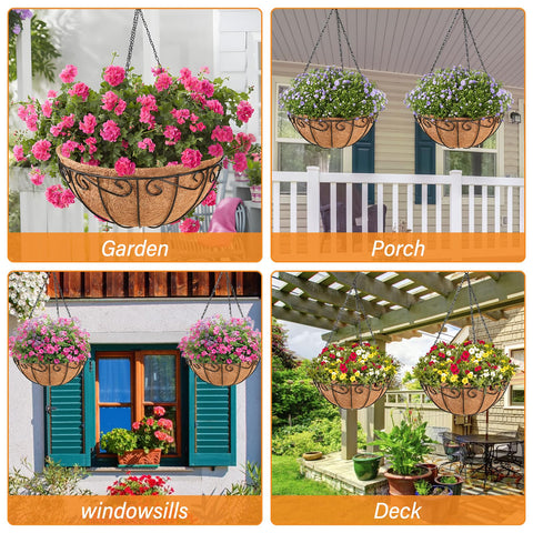 Legigo hanging basket with various plant options like succulents and grasses.