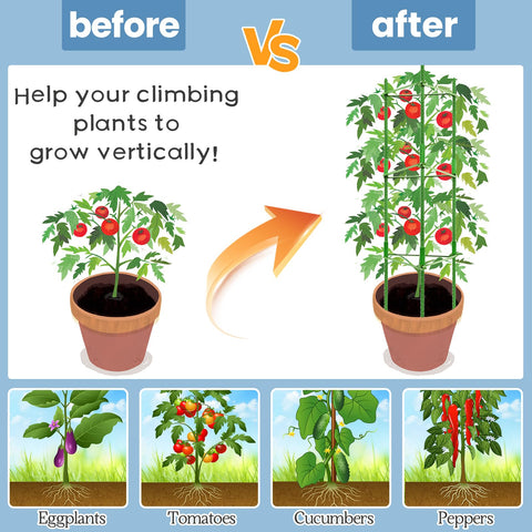 Legigo plant ties simplify securing vines as they grow.