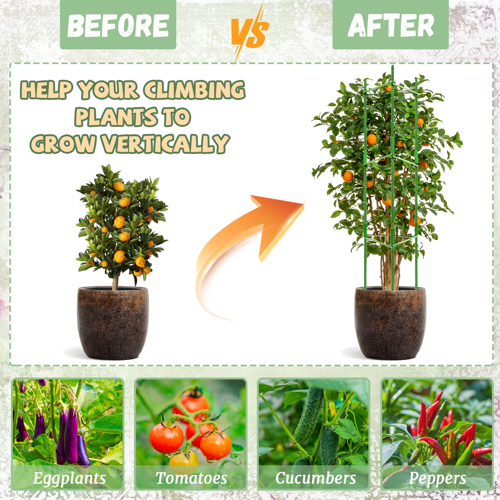 Legigo plant ties included to secure vines and blooms