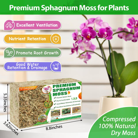 Legigo premium sphagnum moss for orchid use supports moisture and root health.