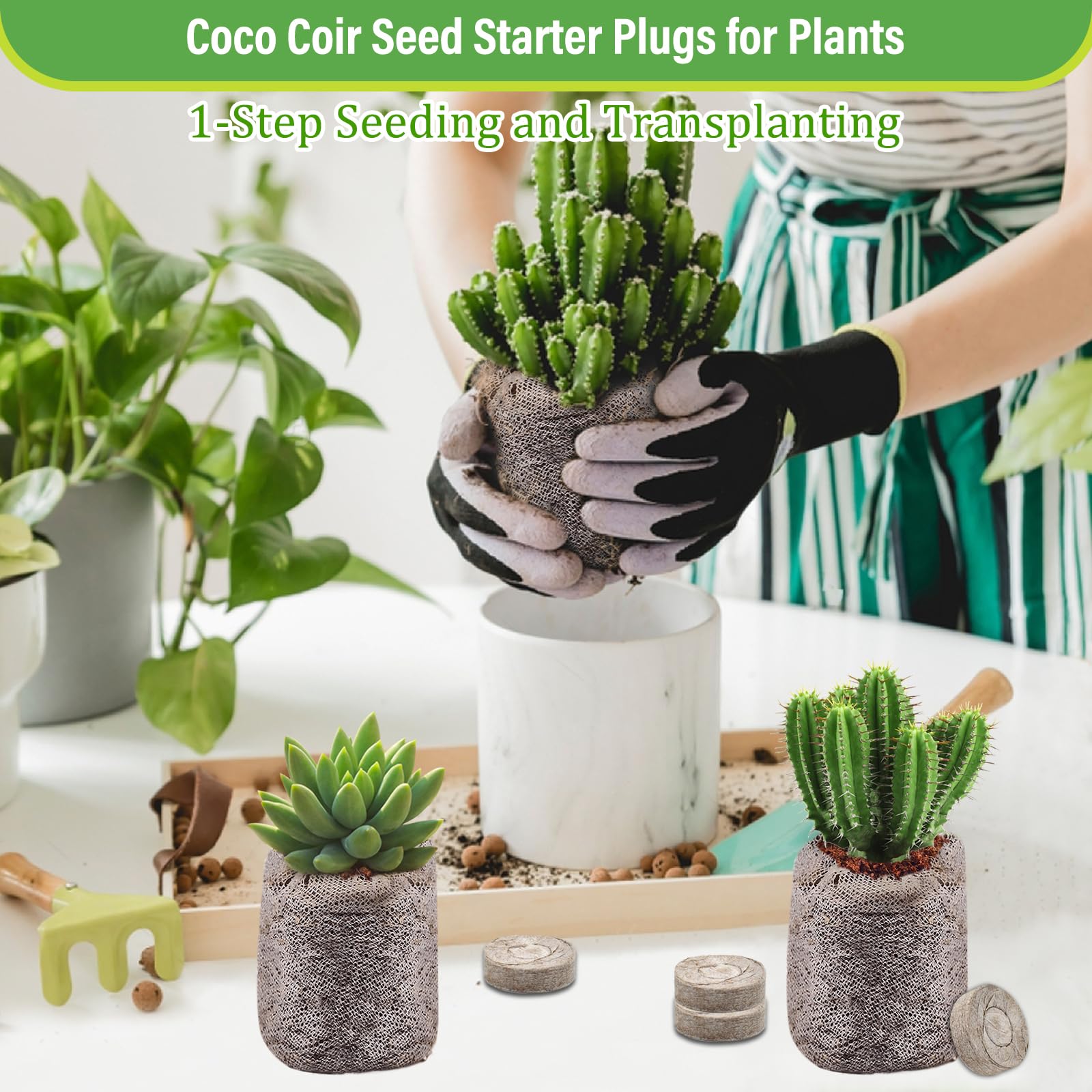 Legigo ready-to-use seed starter system simplifies transplanting into the garden