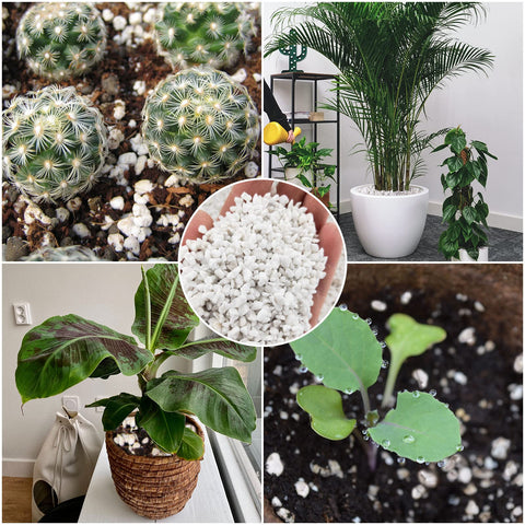 Legigo resealable packaging keeps perlite dry for long-term storage.