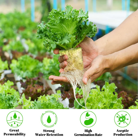 Legigo cloning plugs promote healthy root development for cuttings
