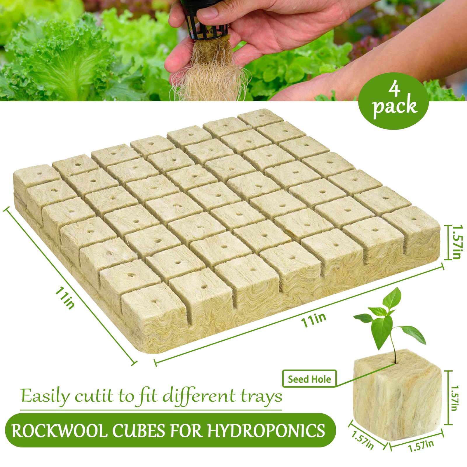 Legigo rockwool cubes cutting-cloning scene showing ready-to-use plugs for cloning.