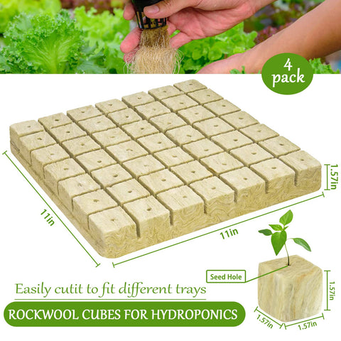Legigo rockwool cubes cutting-cloning scene showing ready-to-use plugs for cloning.
