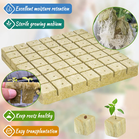 Legigo rockwool cubes cut into smaller sizes for easy transplant.