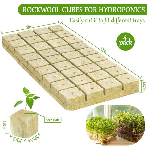 Legigo rockwool cubes cuttings clones ready for rooting