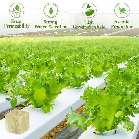 Legigo easy cut plugs enable quick preparation and steady moisture