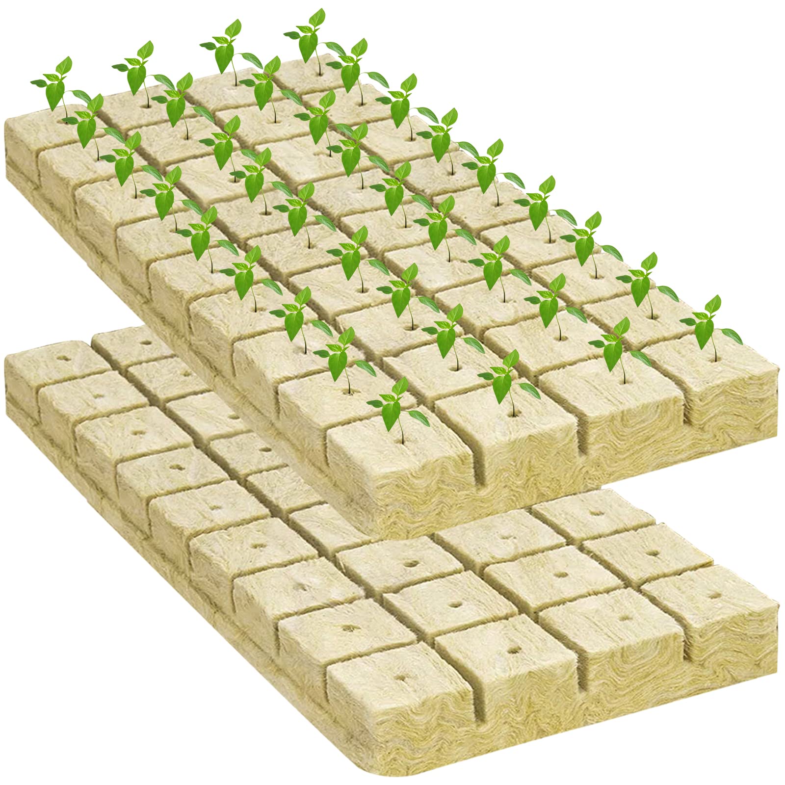 Legigo rockwool plug facilitates easy transplant without root damage