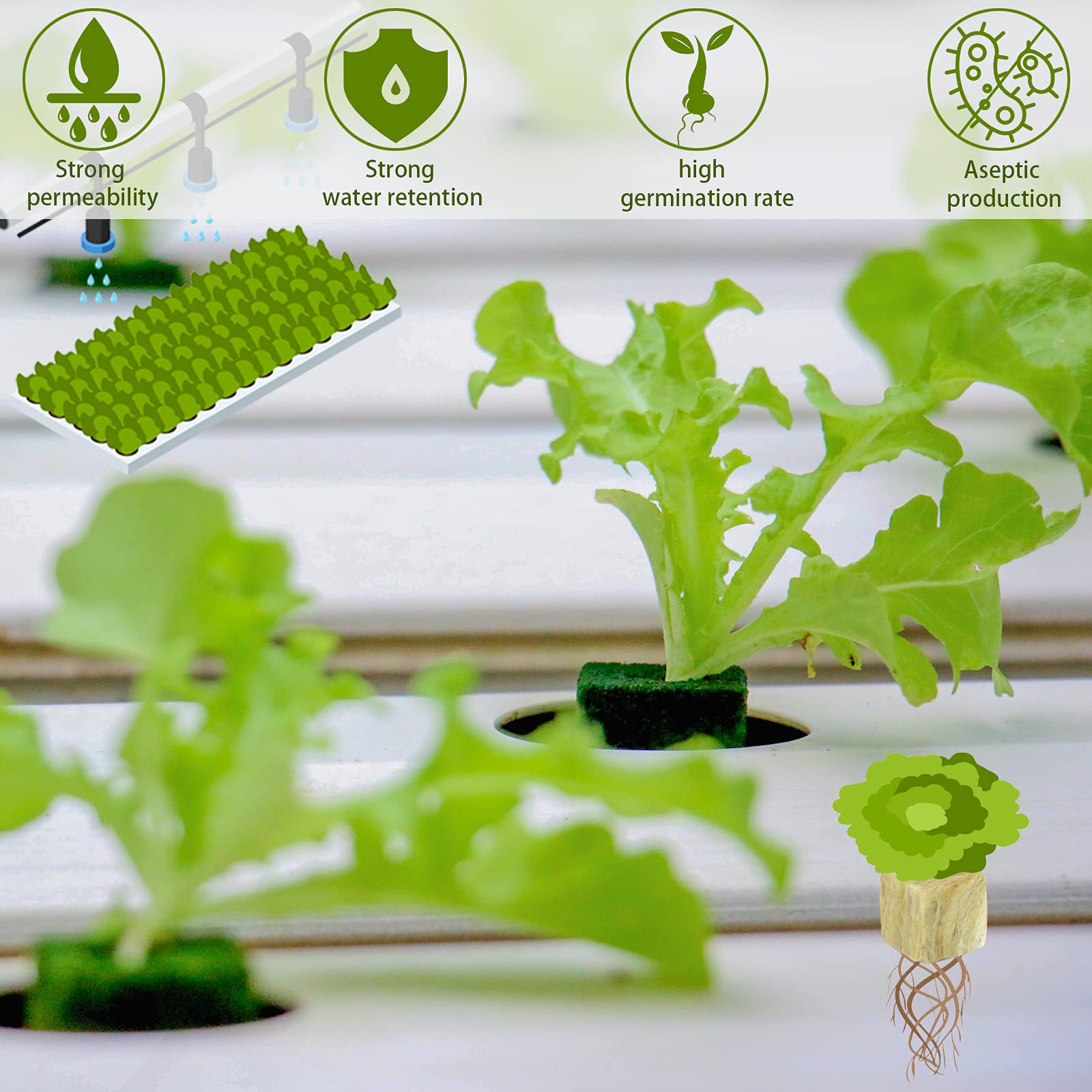 Legigo hydroponic tower garden ready with rockwool cubes.