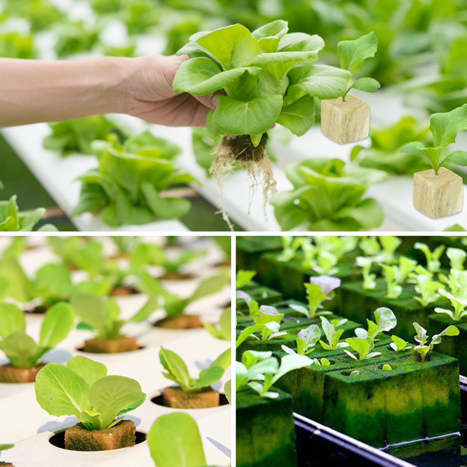 Legigo rockwool cubes used in vertical garden towers.