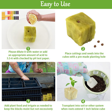 Legigo rockwool maintains moisture oxygen balance for healthy seedlings