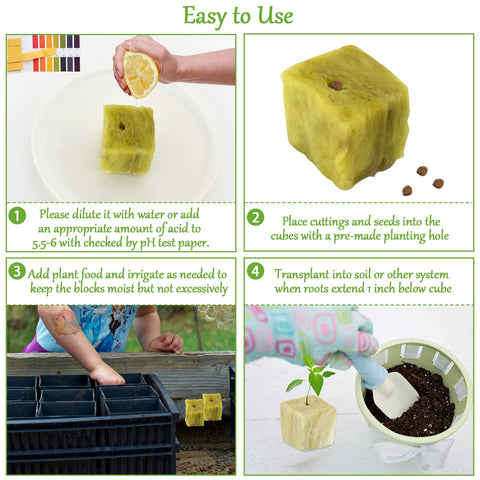Legigo cubes with pre-cut holes simplify seed placement for cloning