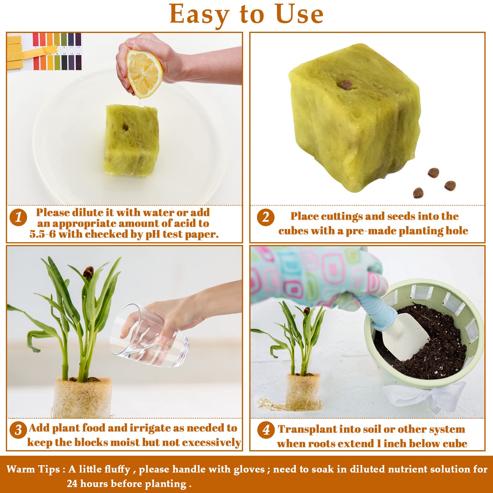 Legigo rockwool cubes promote rapid root growth in seedlings.