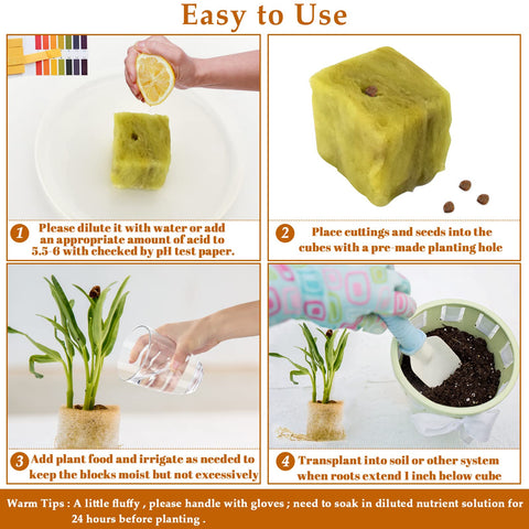 Legigo rockwool cubes promote rapid root growth in seedlings.