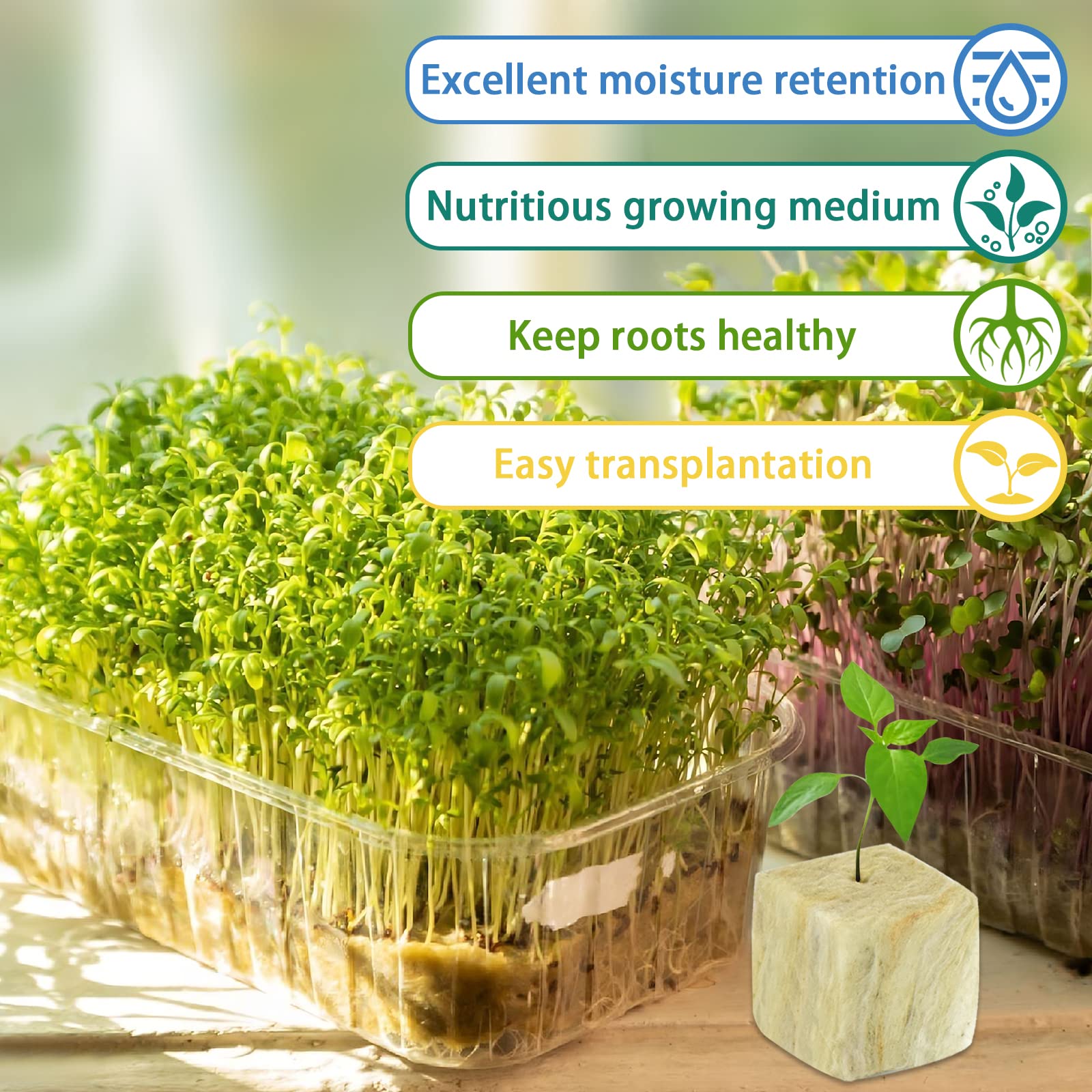 Legigo rockwool root system growth visible in plug