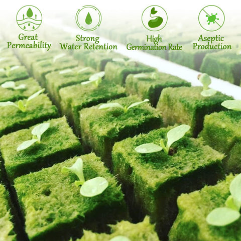 Legigo rockwool plugs soak easy and adjust pH for plant-friendly conditions